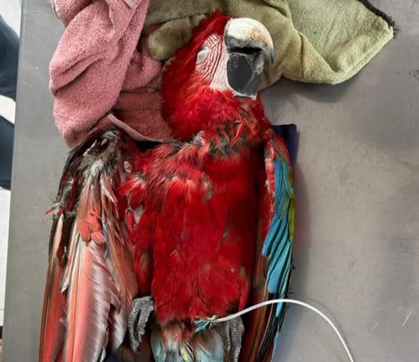 558349983_1130105799096556_3087476548172983196_n