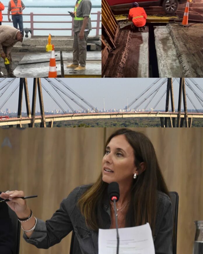 Sofia Brambilla Declaracion de Emergencia