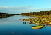Colonia Carlos Pellegrini en riesgo: un fallo judicial abre la puerta a posibles desalojos en el Iberá