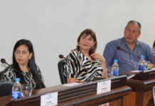 Disputa por la presidencia del Concejo Deliberante entre Radicales y Faraldistas