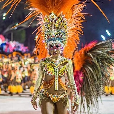 64278824_2519792471399386_3162564190195941376_n