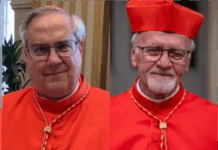 Monseñor Canecín invita a orar por el primer consistorio convocado por el papa León XIV