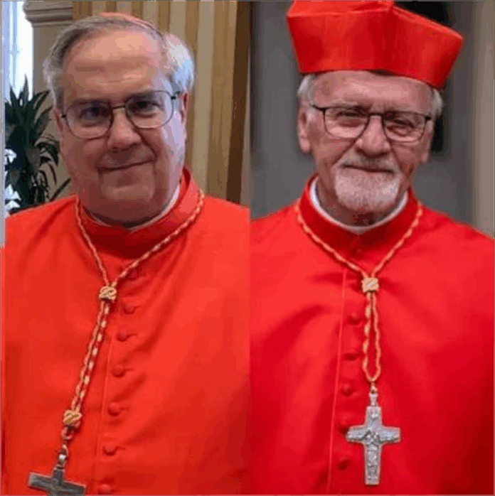 CARDENALES_ARGENTINOS_AAA