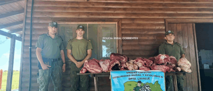 Captura de pantalla 2026-01-15 180533