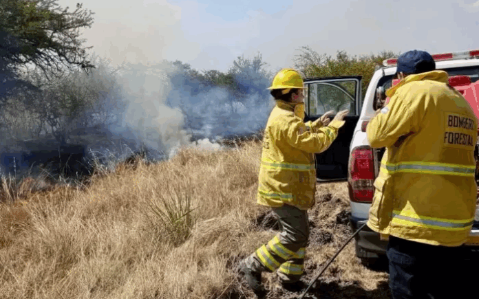 Captura de pantalla 2026-01-23 085116