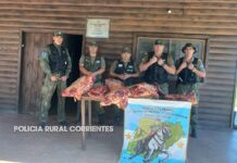 Secuestran más de 140 kilos de carne no apta para el consumo.