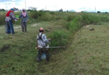 Tareas programadas de mantenimiento en distintos barrios de la ciudad