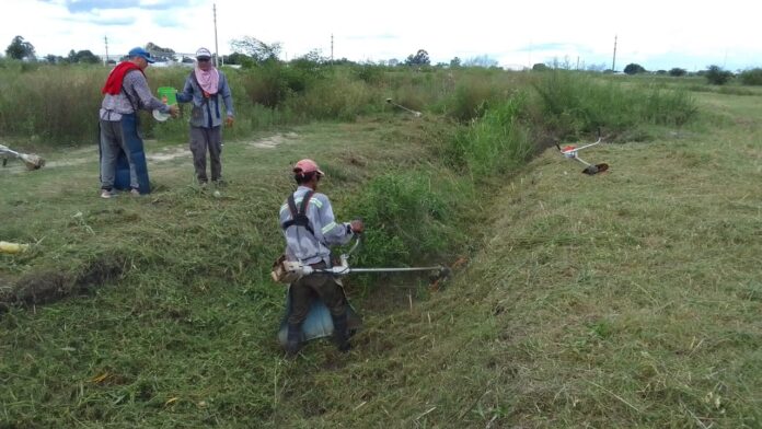 PRODEGO_BARRIO_COEMBOTA