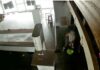 Goya: Delincuente registrado por cámaras al robar en una carnicería