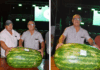 Campeones de la sandía: Los ganadores de la fiesta provincial de Esquina