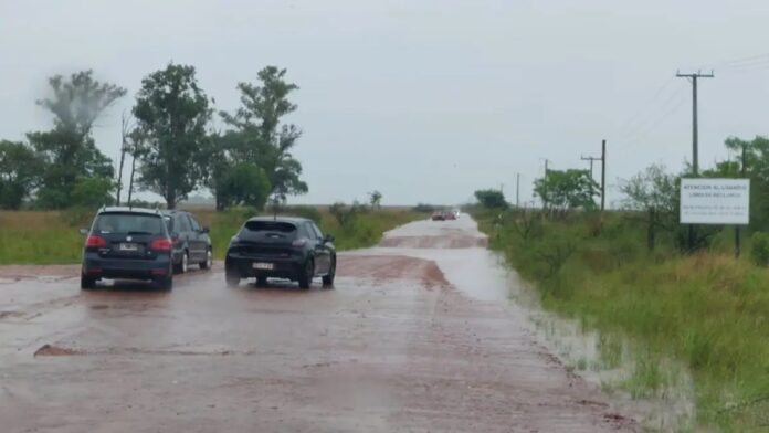 pellegrini_sin_acceso