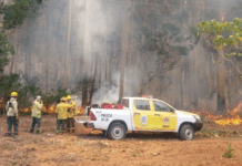 Peligro de incendios forestales: el 60% del país está en riesgo extremo por el calor