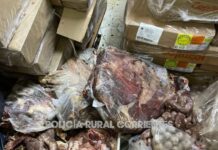 Goya: secuestran más de una tonelada y media de carne en presunto mal estado una carnicería