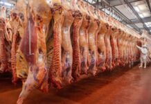 Nuevo aumento de la carne a partir de esta semana: sube 10%