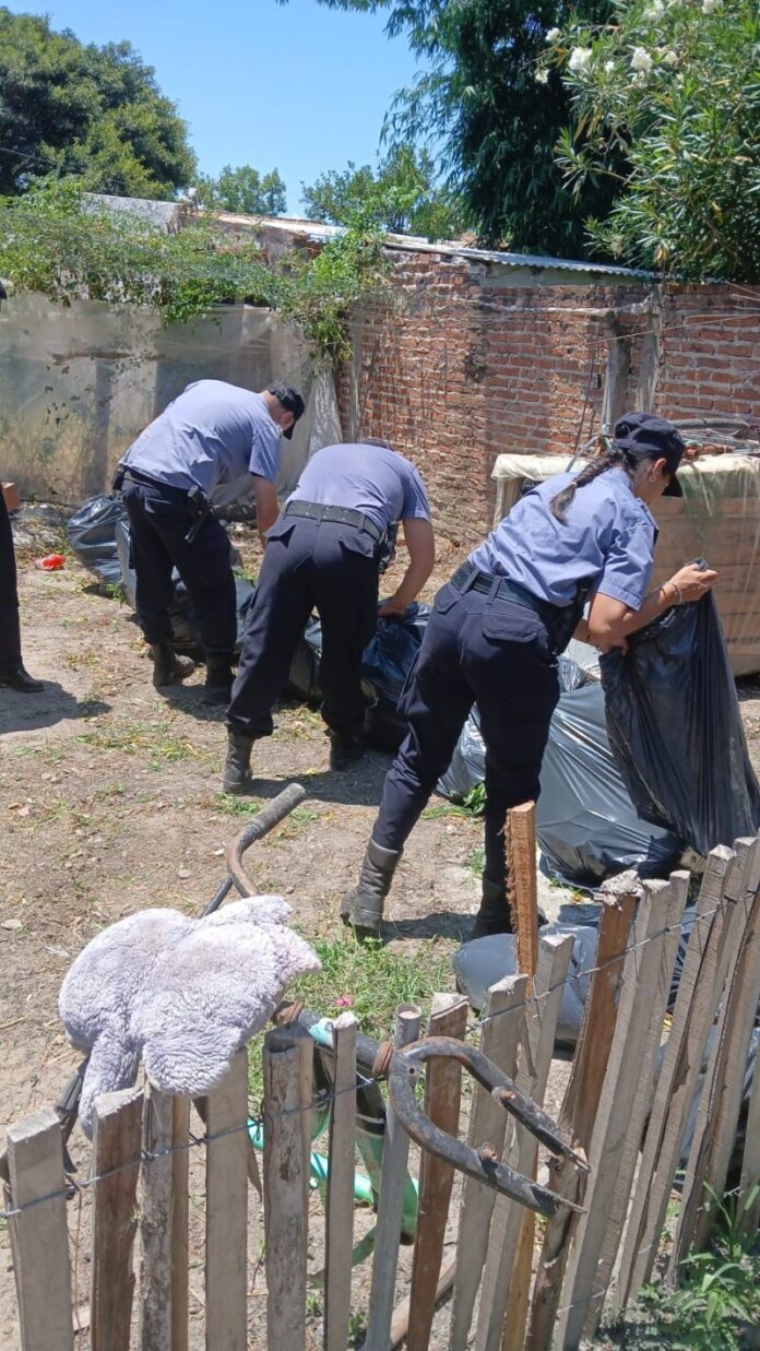SANTA-LUCIA-PLANTAS-1