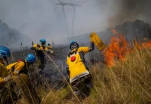 Brigadas controlaron focos de incendio en siete localidades de Corrientes