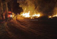 Incendio forestal en Monte Caseros: intervención de bomberos y policía rural