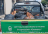 Municipalidad de Goya intervino ante irregularidades en un comercio de venta de carnes