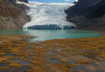 Ley de glaciares: Los riesgos de debilitar la protección