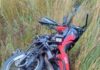Ruta 123: un motociclista murió tras chocar contra una camioneta