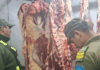 Chavarría: Secuestran más de 200 kilos de carne con tierra y pasto en una carnicería
