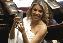 Polémico proyecto de Virginia Gallardo: Busca declarar de interés los premios Martín Fierro