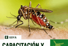 PROGRAMA DENGUE: REALIZARÁN UNA CAPACITACIÓN EN CASA DEL BICENTENARIO