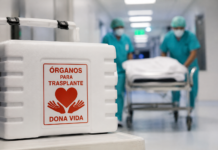 SALUD : Corrientes tuvo un rol destacado en el mes récord de donación de órganos en Argentina