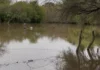TRAS EL DESCENSO DEL ARROYO ÁVALOS, 26 FAMILIAS PUDIERON VOLVER A SUS VIVIENDAS EN PERUGORRÍA