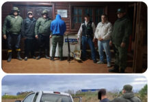 INVESTIGAN UNA BANDA POR EL ROBO DE GANADO EN ALVEAR Y YAPEYÚ: HUBO ALLANAMIENTOS, UN DETENIDO Y SECUESTRO DE EVIDENCIA