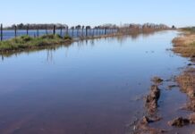 CORRIENTES EN ALERTA: ADVIERTEN QUE EL NIÑO PODRÍA INUNDAR MÁS DE 3 MILLONES DE HECTÁREAS