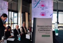 Presentaron en Goya un libro sobre los bosques de Corrientes y los desafíos ambientales de la actividad forestal