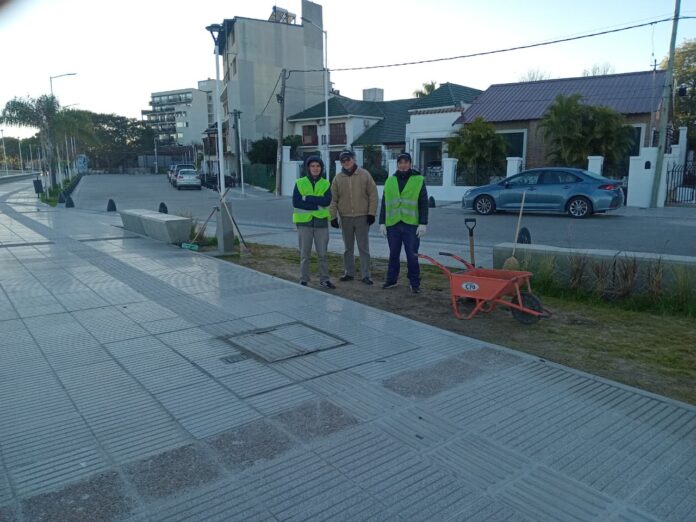 limpieza de costanera (3)