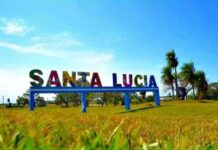 TRAGEDIA EN SANTA LUCÍA: UN MOTOCICLISTA MURIÓ TRAS CHOCAR CONTRA UN CABALLO
