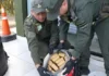 DESCUBRIERON 12 KILOS DE MARIHUANA OCULTOS EN UN BALDE DE PINTURA ENVIADO POR ENCOMIENDA