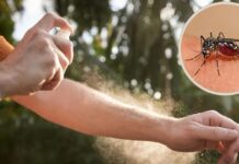 CORRIENTES REFUERZA LA PREVENCIÓN DEL DENGUE ANTE EL AVANCE DE LAS CONDICIONES CLIMÁTICAS FAVORABLES