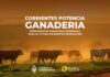 CORRIENTES APUESTA A LA GANADERÍA CON NUEVAS LÍNEAS DE FINANCIAMIENTO
