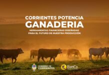 CORRIENTES APUESTA A LA GANADERÍA CON NUEVAS LÍNEAS DE FINANCIAMIENTO