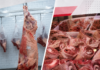 EL CONSUMO DE CARNE VACUNA TOCÓ UN PISO HISTÓRICO Y CAYÓ 12% EN LO QUE VA DE 2026