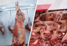 EL CONSUMO DE CARNE VACUNA TOCÓ UN PISO HISTÓRICO Y CAYÓ 12% EN LO QUE VA DE 2026