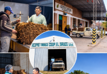 CORRIENTES CERRÓ UNA EXITOSA CAMPAÑA TABACALERA CON MÁS DE $2.295 MILLONES PARA LOS PRODUCTORES