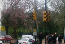 TRÁGICO ACCIDENTE EN CORRIENTES: MURIÓ UN MOTOCICLISTA TRAS UN CHOQUE