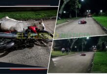 VIOLENTO ACCIDENTE: UN CABALLO SE CRUZÓ Y TERMINÓ IMPACTADO POR UNA MOTO