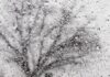 ALERTA AMARILLA POR TORMENTAS: PRONOSTICAN LLUVIAS INTENSAS, GRANIZO Y FUERTES RÁFAGAS EN CINCO PROVINCIAS
