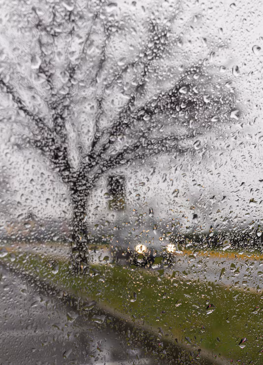 mal-tiempo-conduciendo-camino_1038858-949