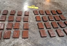 MONTEOLIVA REVELÓ CUÁNTA COCAÍNA PRODUCE SUDAMÉRICA Y DETALLÓ EL OPERATIVO POR LA VISITA DE LEÓN XIV