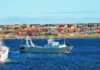 MALVINAS Y LOS RECURSOS DEL MAR: LA PESCA PIDE UN LUGAR CENTRAL EN LA ESTRATEGIA ARGENTINA