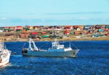MALVINAS Y LOS RECURSOS DEL MAR: LA PESCA PIDE UN LUGAR CENTRAL EN LA ESTRATEGIA ARGENTINA