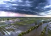 EL “SUPERNIÑO” PONE EN ALERTA A LA PRODUCCIÓN DEL NEA ANTE UNA PRIMAVERA MÁS HÚMEDA