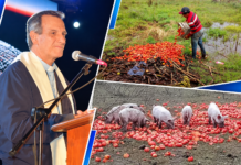 MONSEÑOR CANECÍN LLAMÓ A REFLEXIONAR SOBRE EL DESPERDICIO DE ALIMENTOS